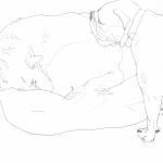 dogs07
