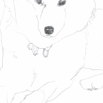 dogs08