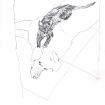 dogs09