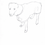 dogs10