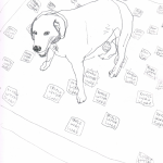 dogs11