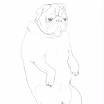 dogs12