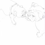 dogs13